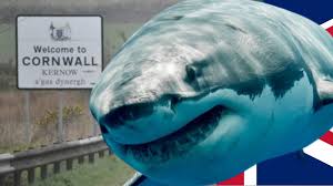 The Daily Jaws tweet media