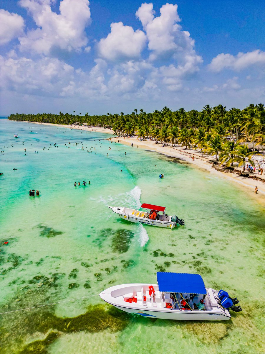 camaramemory's tweet photo. En el confín del Caribe, emerge la sublime isla Saona, con sus playas de seda acariciadas por el susurro del mar y sus palmeras danzantes al ritmo de la naturaleza. Un rincón de ensueño donde el tiempo se detiene y el alma se conecta con la eternidad. https://t.co/Bh3txSIgcY