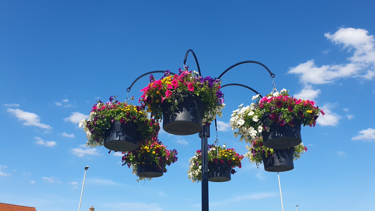 Malton in Bloom tweet media