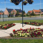 Photo by Malton in Bloom (@MaltonInBloom)