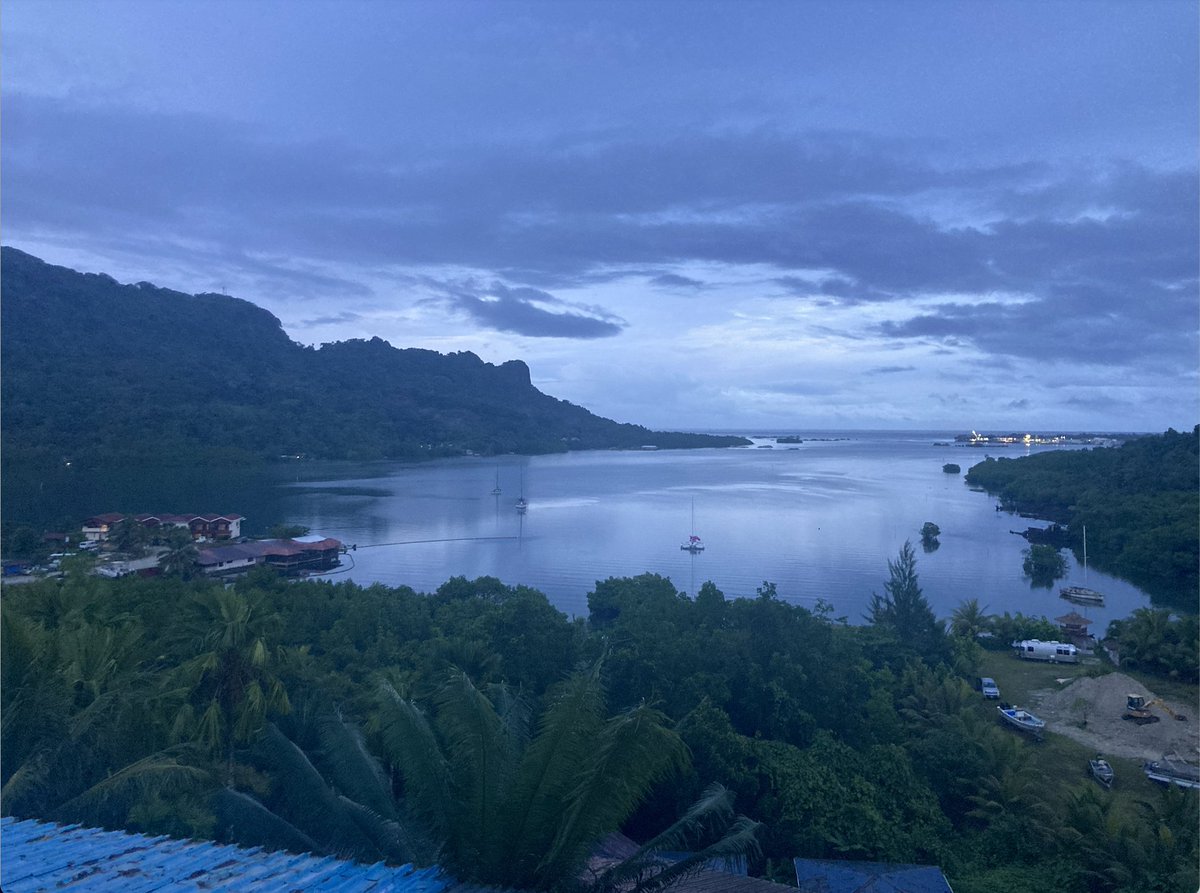 Paul Watson tweet media