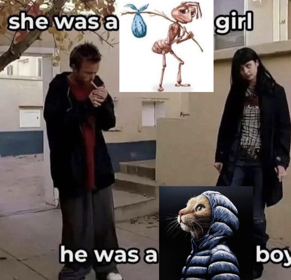 BFrog (@bfrog__) on Twitter photo 