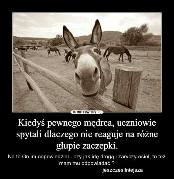 choromanski_s's tweet photo. https://t.co/lzG3RRdkZ8