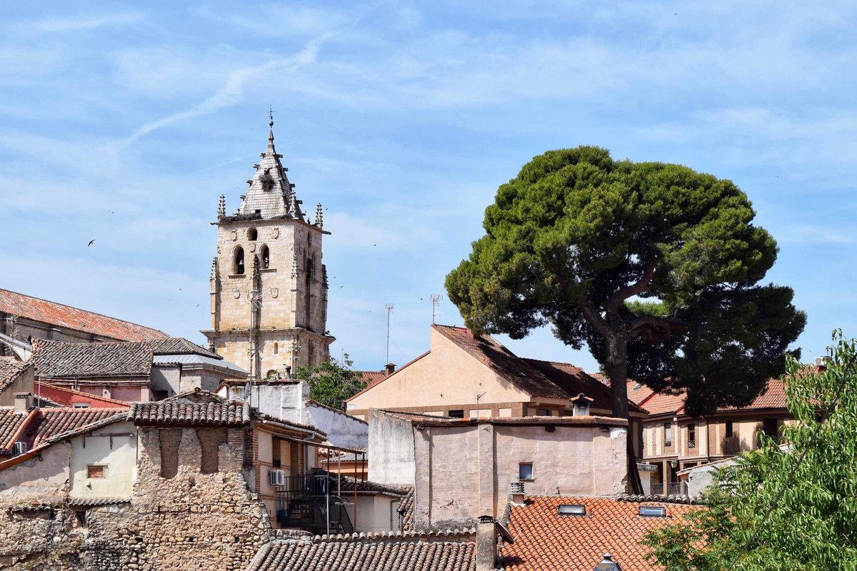 TorrelagunaN's tweet photo. 🔸 En esta ocasión, os deseamos un buen fin de semana con esta bonita vista de nuestra iglesia parroquial y del pino centenario tomada desde el barrio de El Arrabal.

#BuenFinDeSemana #Torrelaguna @TurismoMadrid https://t.co/D8lV7QiHra