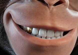 stevenwellens's tweet photo. Today we are going to look at the teeth of our Alpha Kongs!
@AlphaKongsClub
4 of the 7 traits
Which one do you like the most! https://t.co/U7hvTCswr8