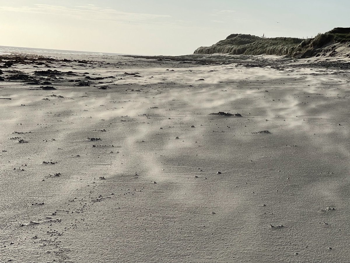 MadMike123's tweet photo. No special effects; just the strength of the wind #Atthebeach #Baleshare https://t.co/T8VrMgmY9L