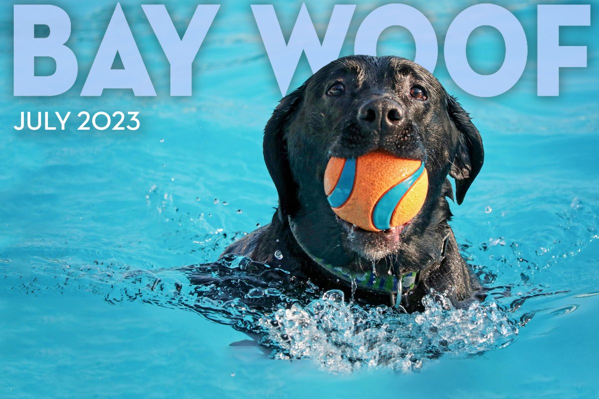 Bay Woof Foundation tweet media