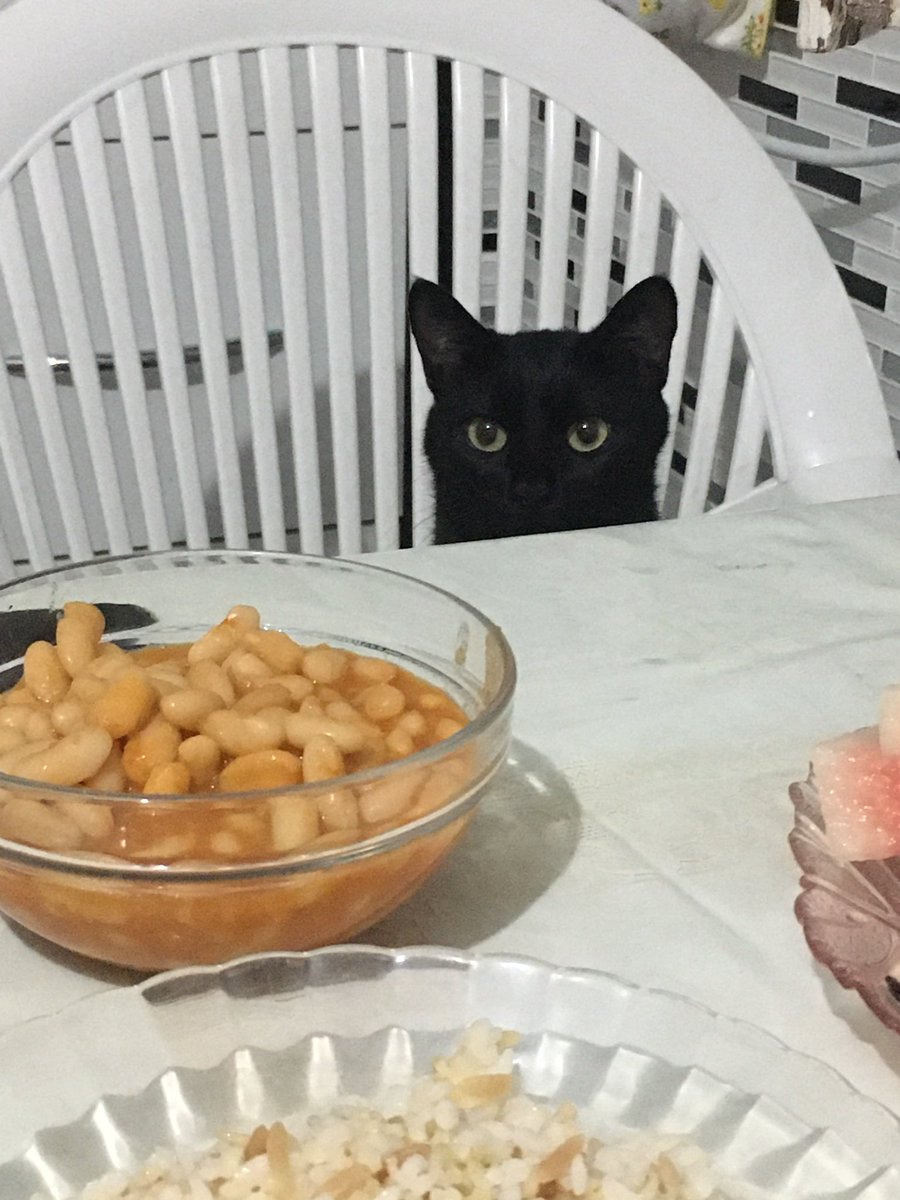 Yemekte kurufasulye mi var gerçekten? 
Buzlukta kavurma var ama?