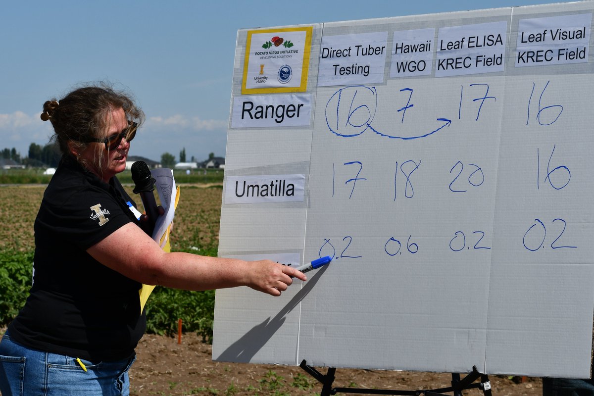 PotatoVirusIni1's tweet photo. June = Field Days! Nora Olsen, University of Idaho, went back to the basics of presenting and told us about the merits of direct tuber testing for PVY detection in her field trials.
#fieldday #research #potatoes #pvy https://t.co/elXPQW17He