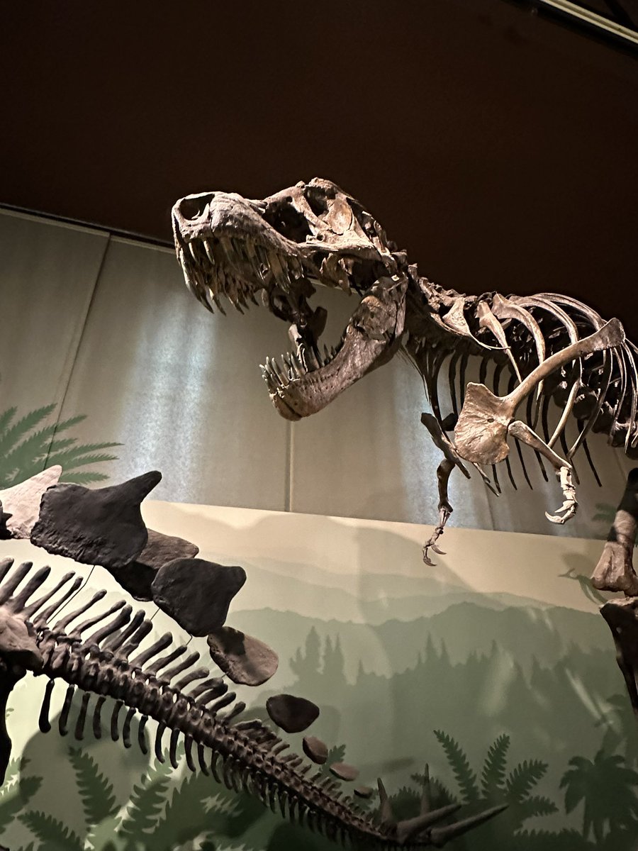 bronze4u's tweet photo. Natural History Museum, Milano https://t.co/L2siI39vQR