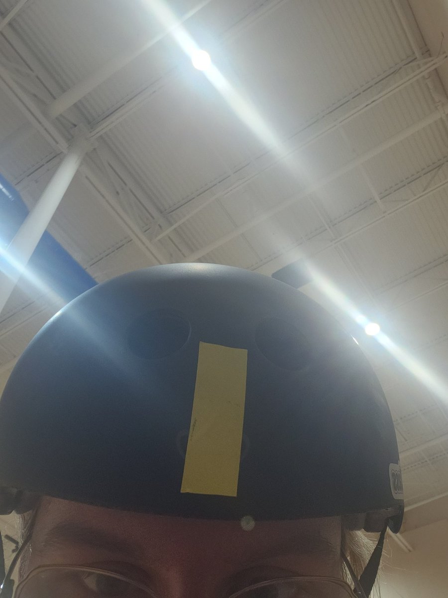 ComradeJackie's tweet photo. Mostly Harmless got her yellow stripe! https://t.co/oHBQjsliGd