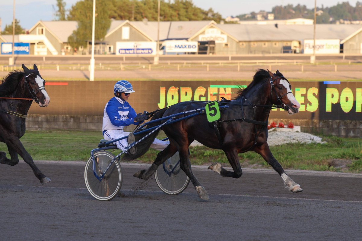 Overvik Prinsen og Vidar Hop lekte Jørgen Jahres Pokalløp og hadde tilsynelatende full kontroll 🏆 3-åringen travet 28,4🥇

Hesten er trent av Frode Hamre, eid av Kolbjørn Selmer &amp; Armand Selmer, samt oppdrettet av Anita Sønsteby✨

Foto: Trond Pedersen