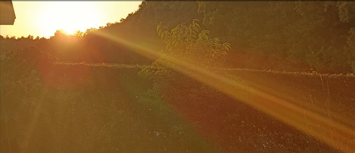 BackersEs's tweet photo. Magical sunset
Everything is connected with a power and a beauty that words can hardly express. 
Do you feel it too? 💫🦋😍
#nature #sjamanism #sunsets https://t.co/aGdqe6z2OE