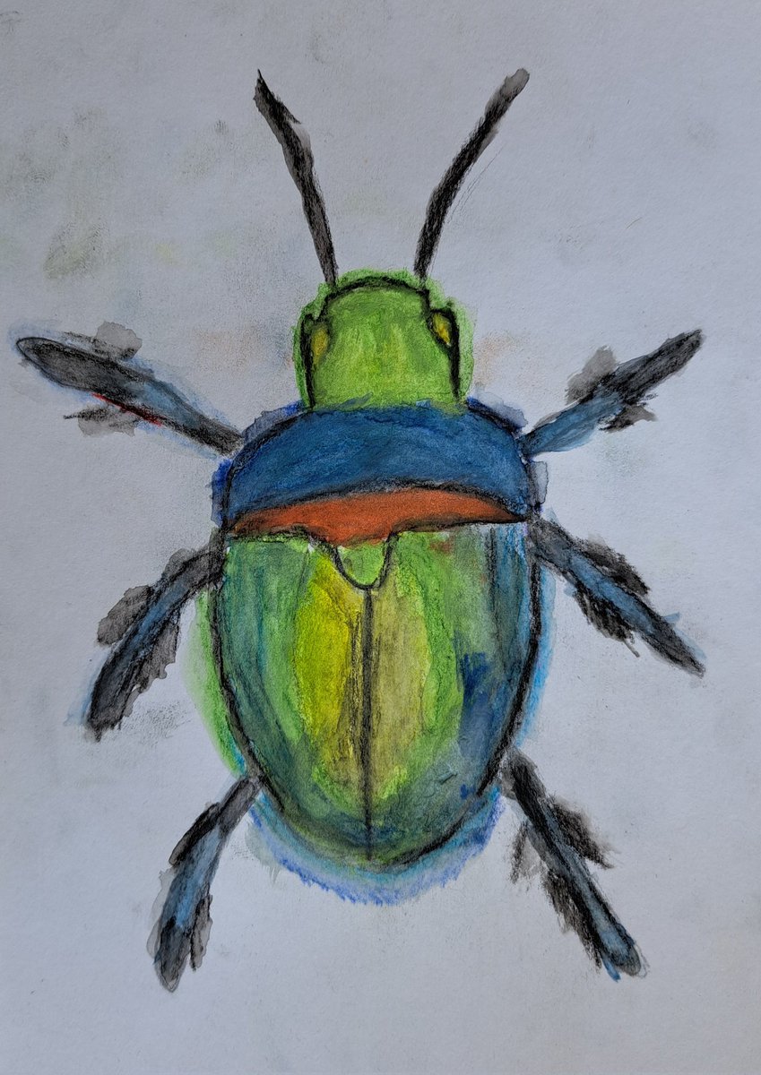 The Bellbird Primary tweet media