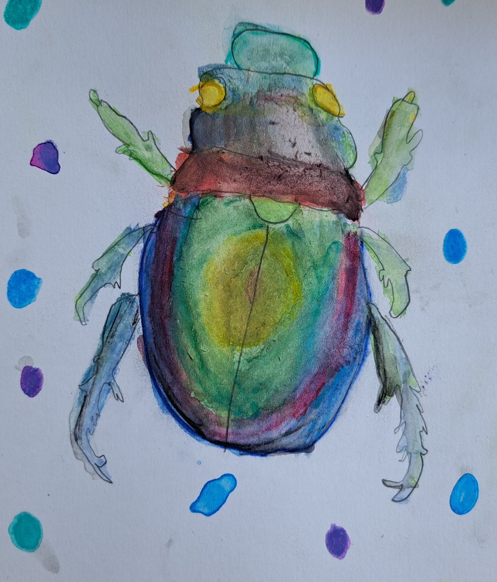 The Bellbird Primary tweet media