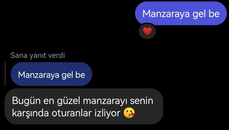 Seni seveyim de gör..