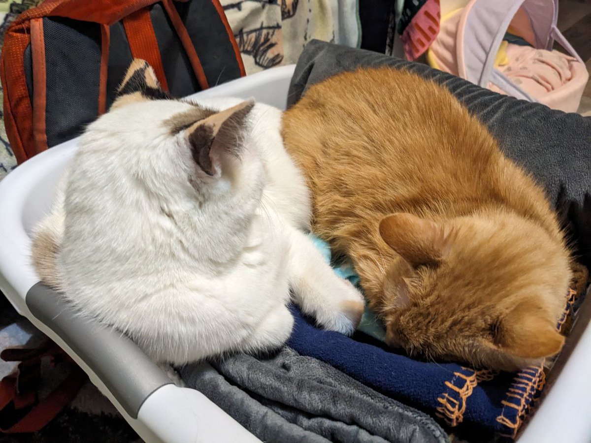 yeah im maybe be loafvemg mine sistor <a href="/twoeyedbuffy/">Buffy</a> n also clean blankies