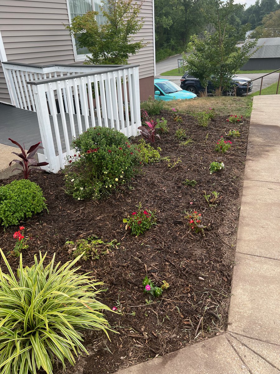 CareNet_Friends's tweet photo. A HUGE THANK YOU to the incredible McOmber family:
Christina, Anna, Zachary, Nathan, Abigail and Gloria!

They worked tirelessly yesterday to get our front yard looking FANTASTIC! What a BLESSING to us! https://t.co/kwqyT4u5ub