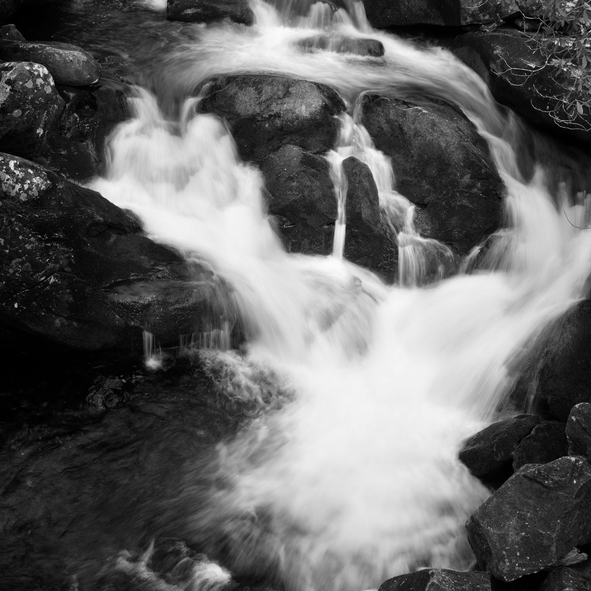 richseiling's tweet image. Every photograph I take requires me to make decisions. Is making better photographs really as easy as making better decisions? Read my latest substack to find out.
richseiling.substack.com/p/making-good-…