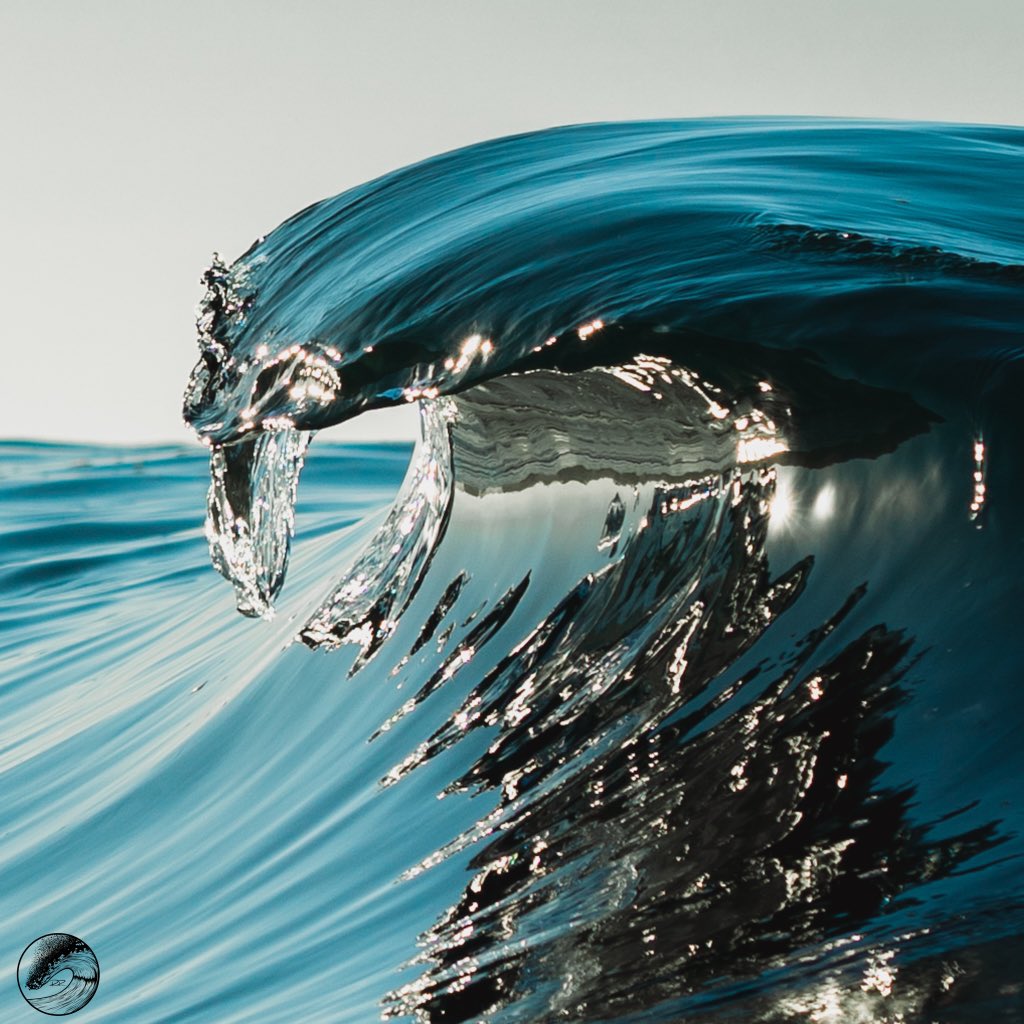 WaveRder's tweet image. Glass of water!
@aquatech_imagingsolutions ••••••••••••••••••••••••••••••••••••••••••••••••••••••
#aquatech_imagingsolutions #sonyimages #aquatech #sonyalpha #igtones #rreyes2023 @SonyAlpha @Sony