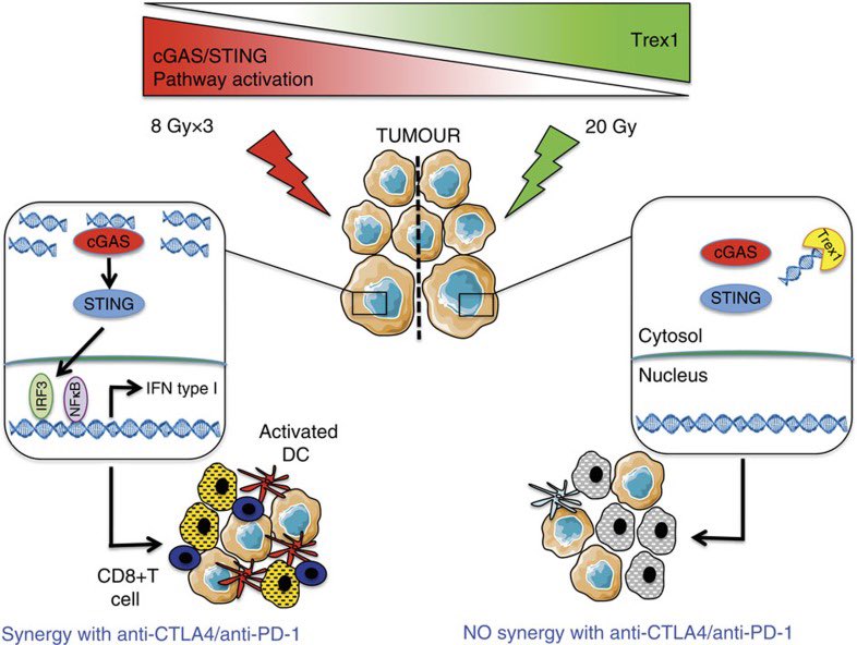 Mathieu Spaas tweet media