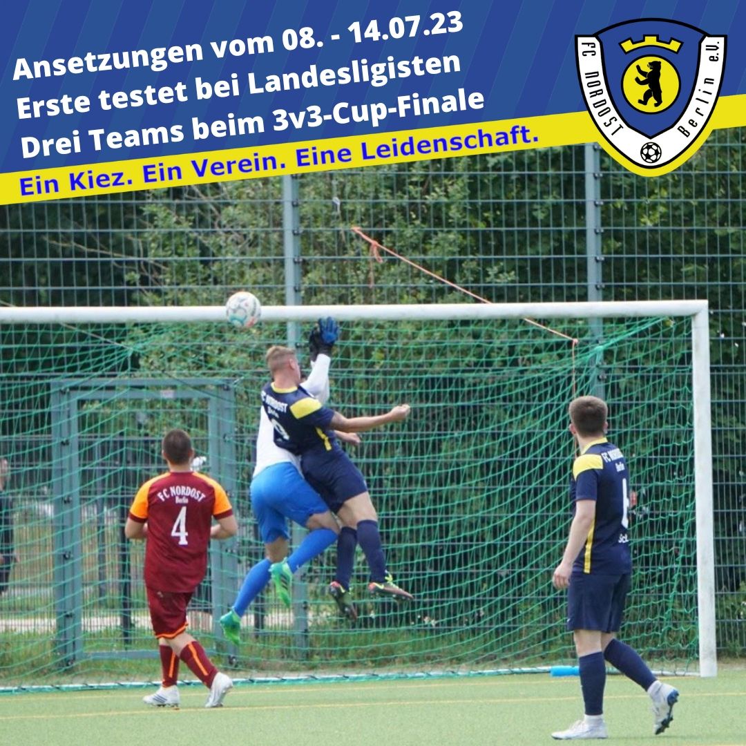 Vor dem Ferienbeginn sind nochmal einige Jugendteams aktiv - drei Teams beim 3v3-Cup-Finale - U17 testet in Fürstenwalde - 1. Herren testet bei Landesligisten

Alle Ansetzungen der nächsten Tage ➡️ bit.ly/3pD8xim