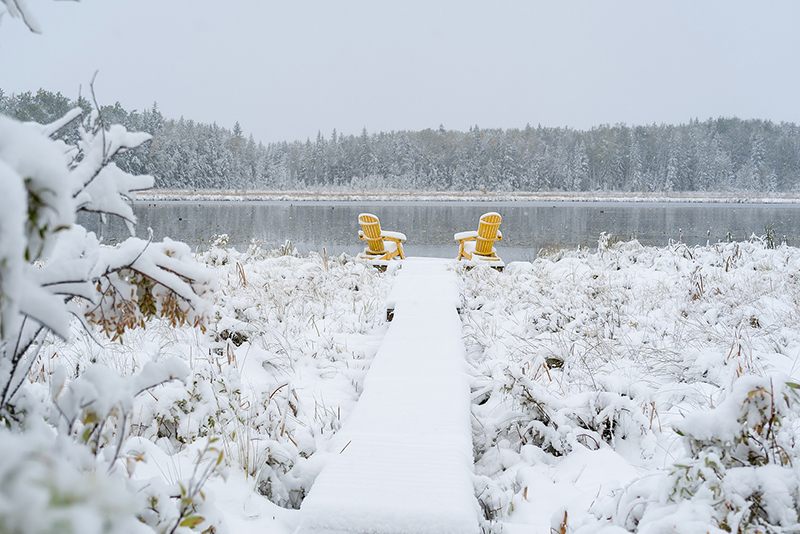 Poetry Friday: Chase Twichell's poem "After Snow" takes the edge off these stiflingly hot, humid days. 
Poem and info on her NYS Summer Writers Institute event with Amy Hempel on Monday July 10 at:
nyswritersinstitute.org/post/poetry-fr… 
#poetryfriday
#poetrycommunity 
#writers