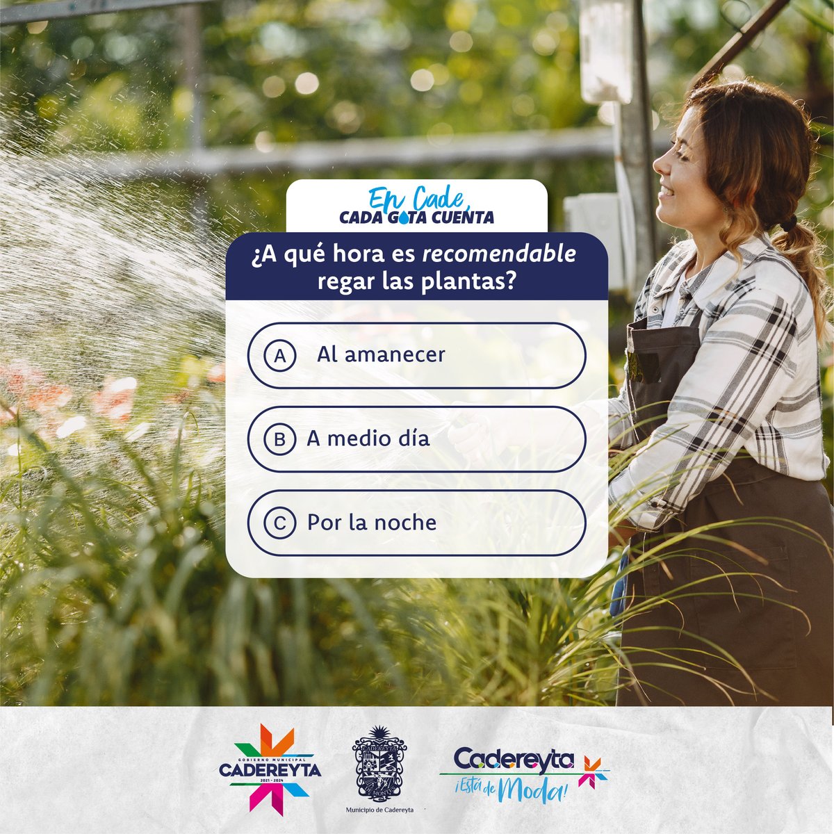 CadereytaDeMon's tweet photo. Para evitar la evaporación del agua que utilizas, lo mejor es regar tus plantas muy temprano en la mañana o después de que se ponga el sol. ¿Tú a qué hora las riegas? https://t.co/WvD6YkaP5B