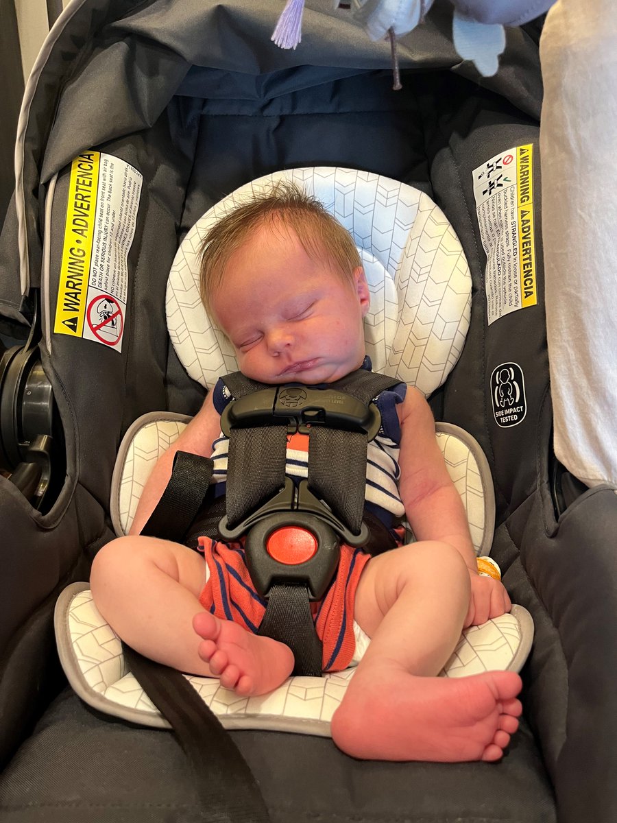 AlphaCenter's tweet image. Happy Friday from our newest Alpha Baby, Atlas!!
