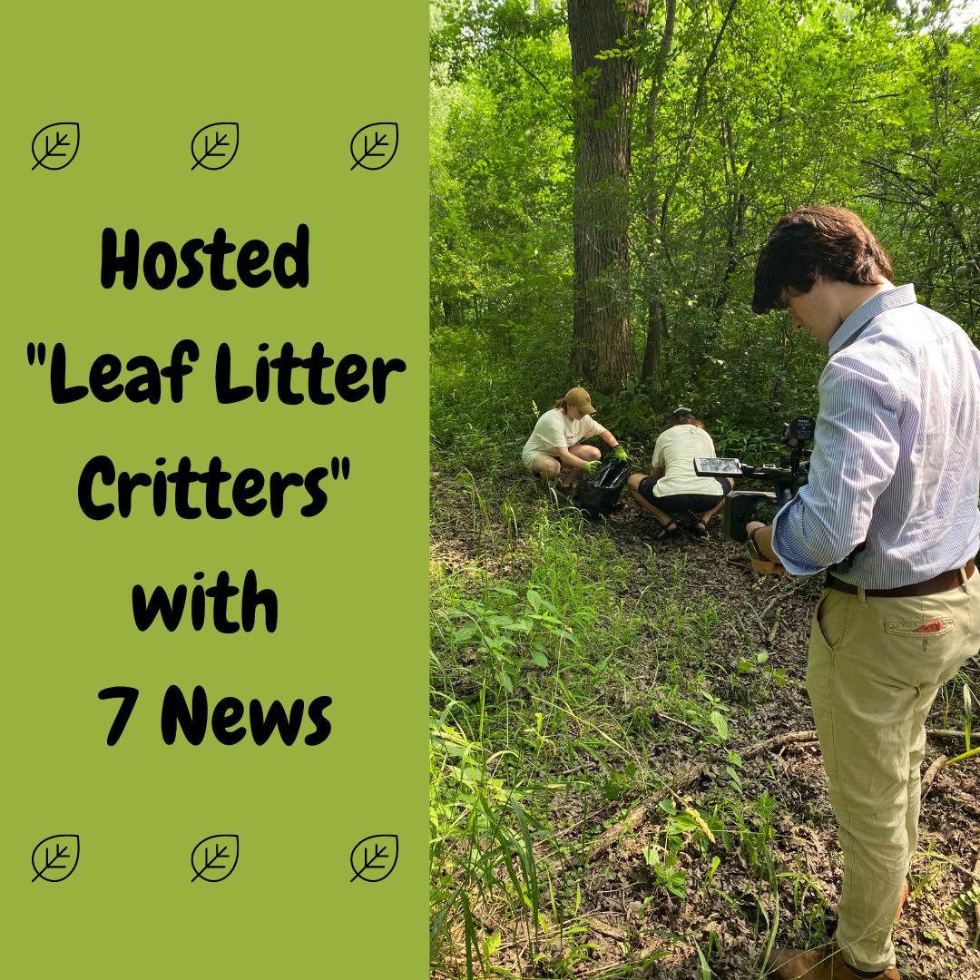 NatureUpNorth's tweet photo. How's your summer going? We've been busy bees! Here are some moments in June we shared together in the North Country. Stay tuned with us on social media or our website https://t.co/pDxOPikya0 to see what we've got coming up, and be sure to check out our two programs for tomorrow! https://t.co/S1FUx8XUTY