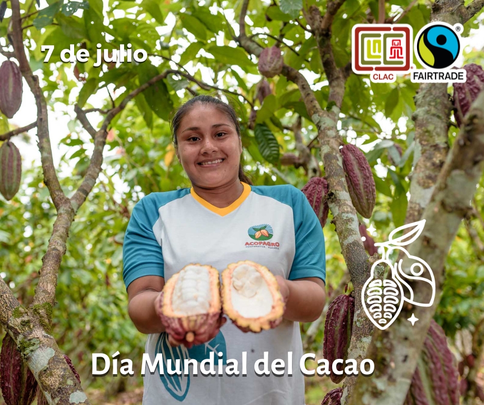 CLACFairtrade's tweet photo. #CACAO | DÍA MUNDIAL DEL CACAO. En América Latina y el Caribe hay 105 organizaciones productoras de cacao certificadas Fairtrade, que representan a más de 50 mil familias productoras en la región. Conoce más sobre esto en: https://t.co/zxzwlgCh0q https://t.co/sjVqcZ2Msv
