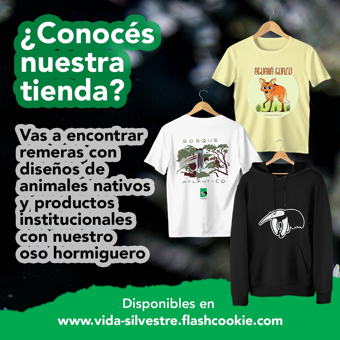 Vida_Silvestre's tweet photo. 🙌🏽¿Conocés nuestra tienda en #FlashCookie? Vas a encontrar remeras con diseños de animales nativos y productos institucionales con nuestro oso hormiguero. Ingresá a https://t.co/kT3mCVorBp

#Remeras #AnimalesNativos https://t.co/acT8sjZwpz