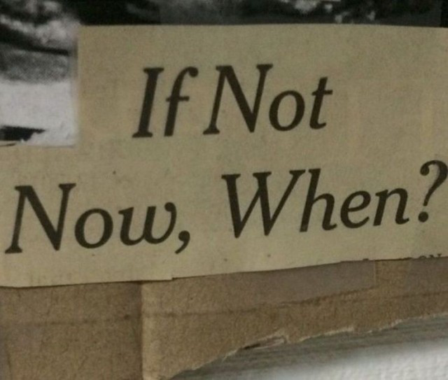 𝓐𝓻𝓽 𝓲𝓼 𝓪 𝔀𝓪𝔂 𝓸𝓯 𝓼𝓾𝓻𝓿𝓲𝓿𝓪𝓵 (@yourfavnook) on Twitter photo 