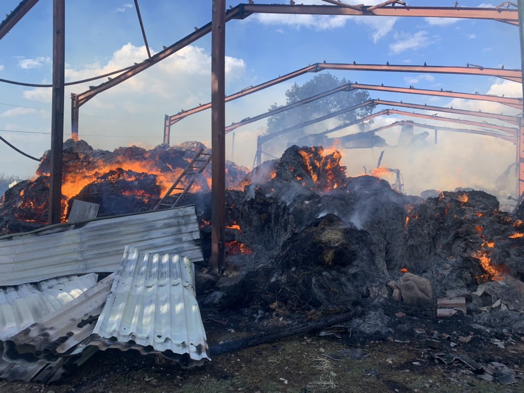 SFRS_CWhite tweet picture