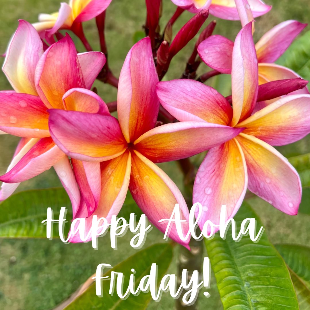 hoonuillc's tweet image. Wishing all (in Hawai`i and abroad) a #happyalohafriday