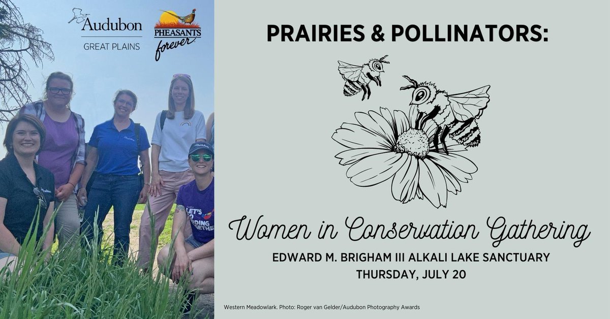 Prairies and Pollinators: Women in Conservation Gathering, THURSDAY, JULY 20, 2023 AT 7 AM – 12:30 PM at Audubon's Edward M. Brigham III Sanctuary!

Register Here! lnkd.in/gsb9EfTe