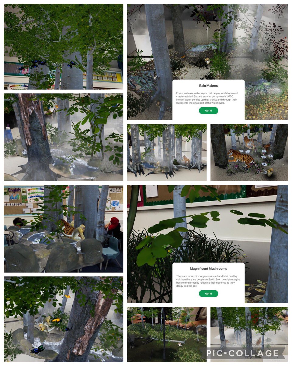 MRPAyear3a's tweet photo. Yesterday our classroom was transformed into a rainforest! We used the WWF app to explore our surroundings through Augmented Reality, expanding our existing knowledge of the rainforest biome and the threats endangering it @MRPA_English @MRPA_Geography https://t.co/06M48Gqia4
