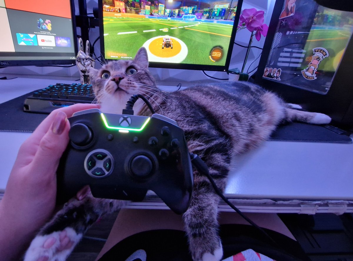 Dieser Blick 😂😂😂 
Guten Abend und frohes Zocken hihi ...