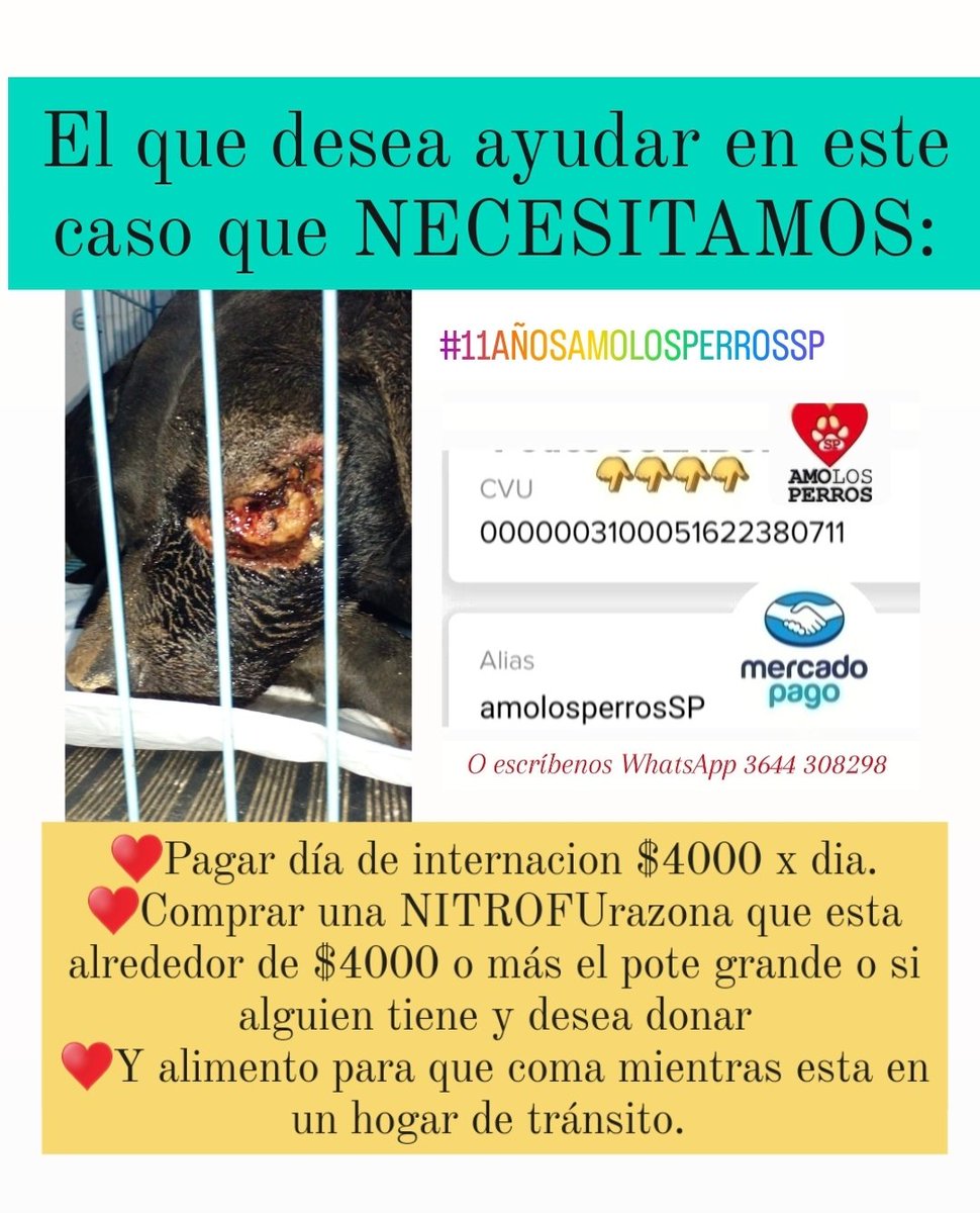 cotelaichaco's tweet photo. Otro caso de maltrato animal https://t.co/oLKqlM94l8