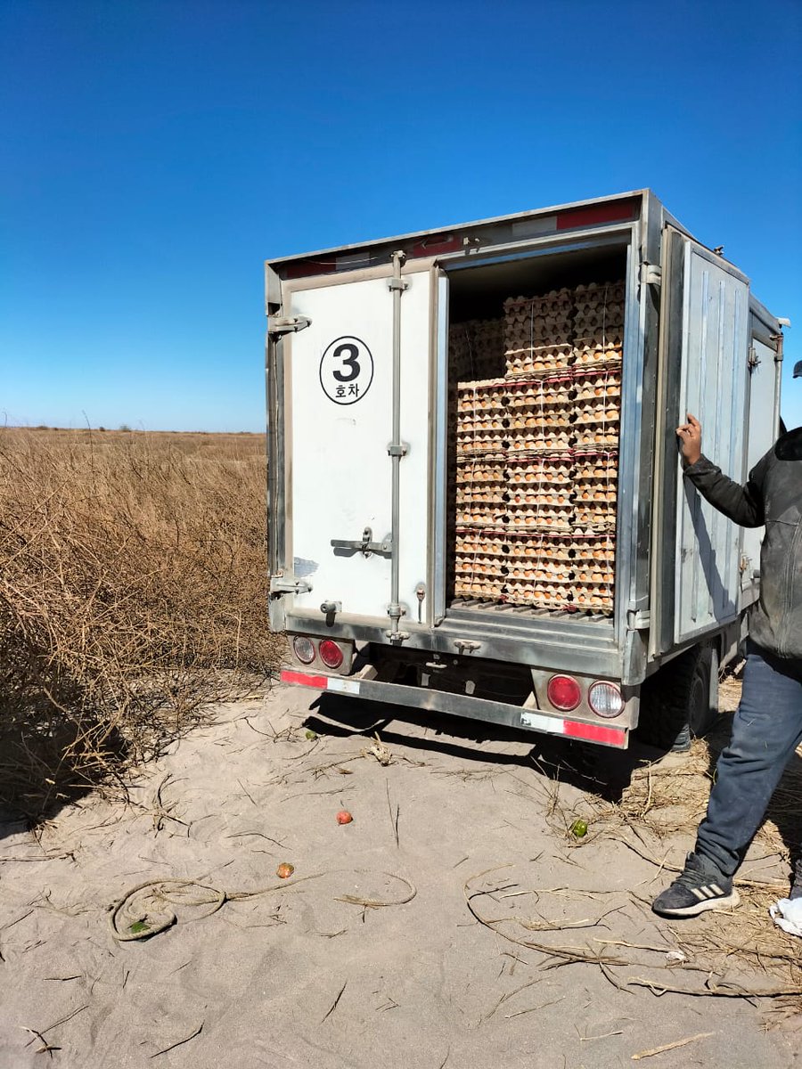 sagchile's tweet photo. En un operativo realizado en la comuna de #Huara @sagchile #Tarapacá logra el decomiso más grande en una década tras incautar 10 toneladas de productos agropecuarios y 100 mil unidades de 🥚de 🐔 https://t.co/zUTOjrCUnf