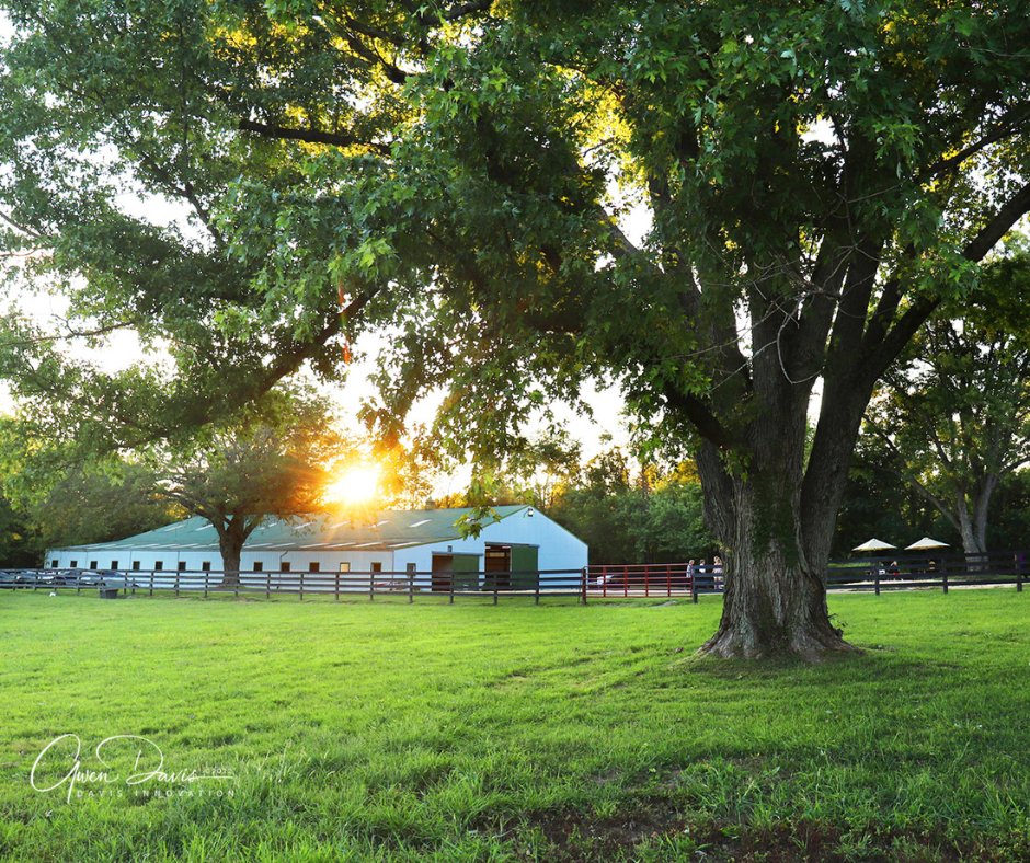We have BIG news... <a href="/SecondStride/">Second Stride</a> is officially the newest member of Horse Country!

Tours of Second Stride begin on July 10th, giving guests a behind-the-scenes look at Thoroughbred aftercare, just a few minutes outside of Louisville. 

Learn more here: tinyurl.com/268tay2x