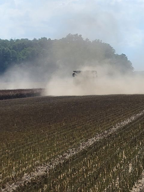 #canolaharvest23 is just about wrapped up for me ,best crop I’ve had yields and quality have been excellent