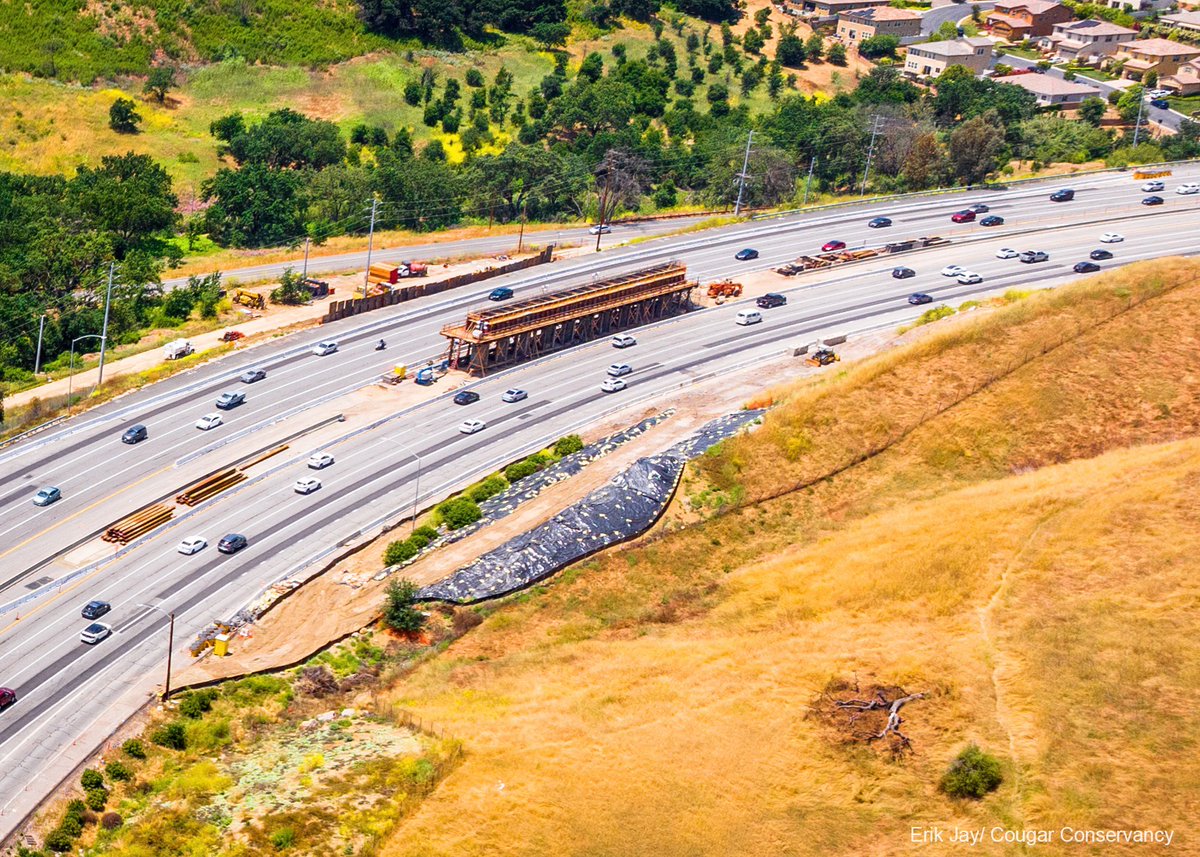 Wallis Annenberg Wildlife Crossing tweet media