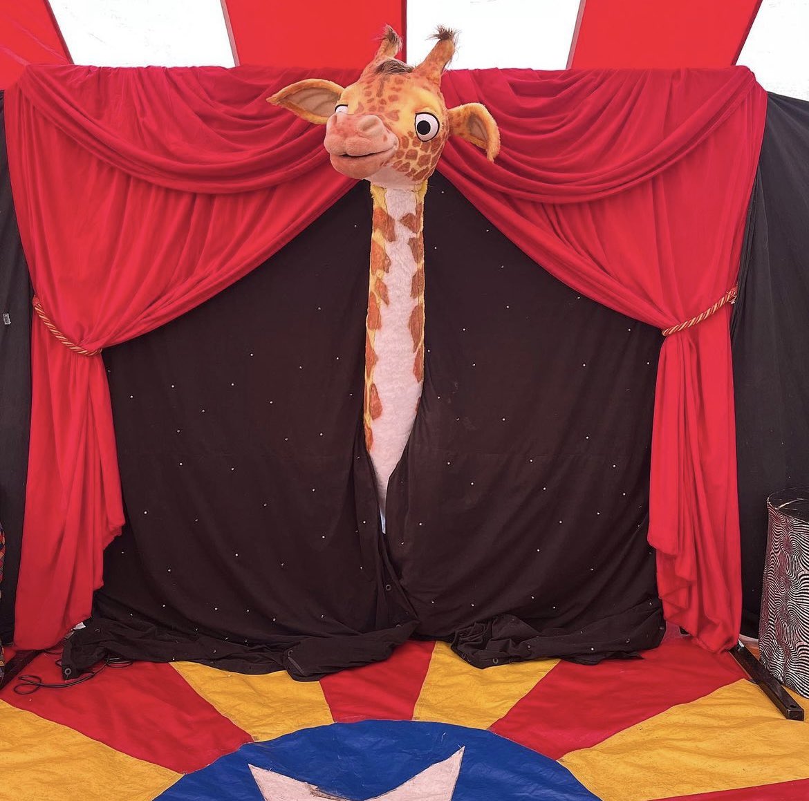 FriendsofHG's tweet photo. A huge THANK YOU to everyone that bought tickets &amp; came this evening and also to National Festival Circus for putting on two great shows 🤡🎪 The money raised will go towards our trim trail target 😁 We hope you all had a fantastic evening! Also a big thank you to the FoHG Team https://t.co/D3W1CY7nBo