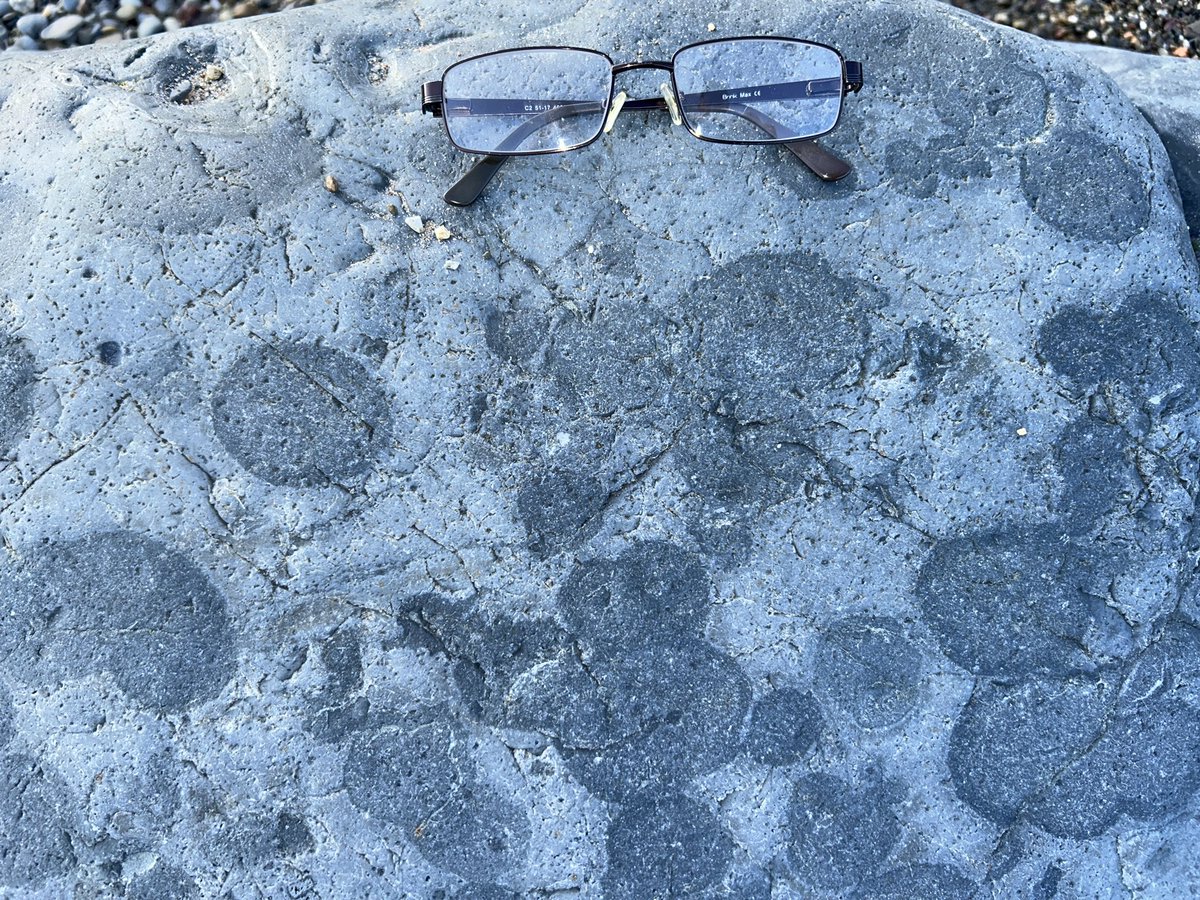 Clive Mitchell tweet media