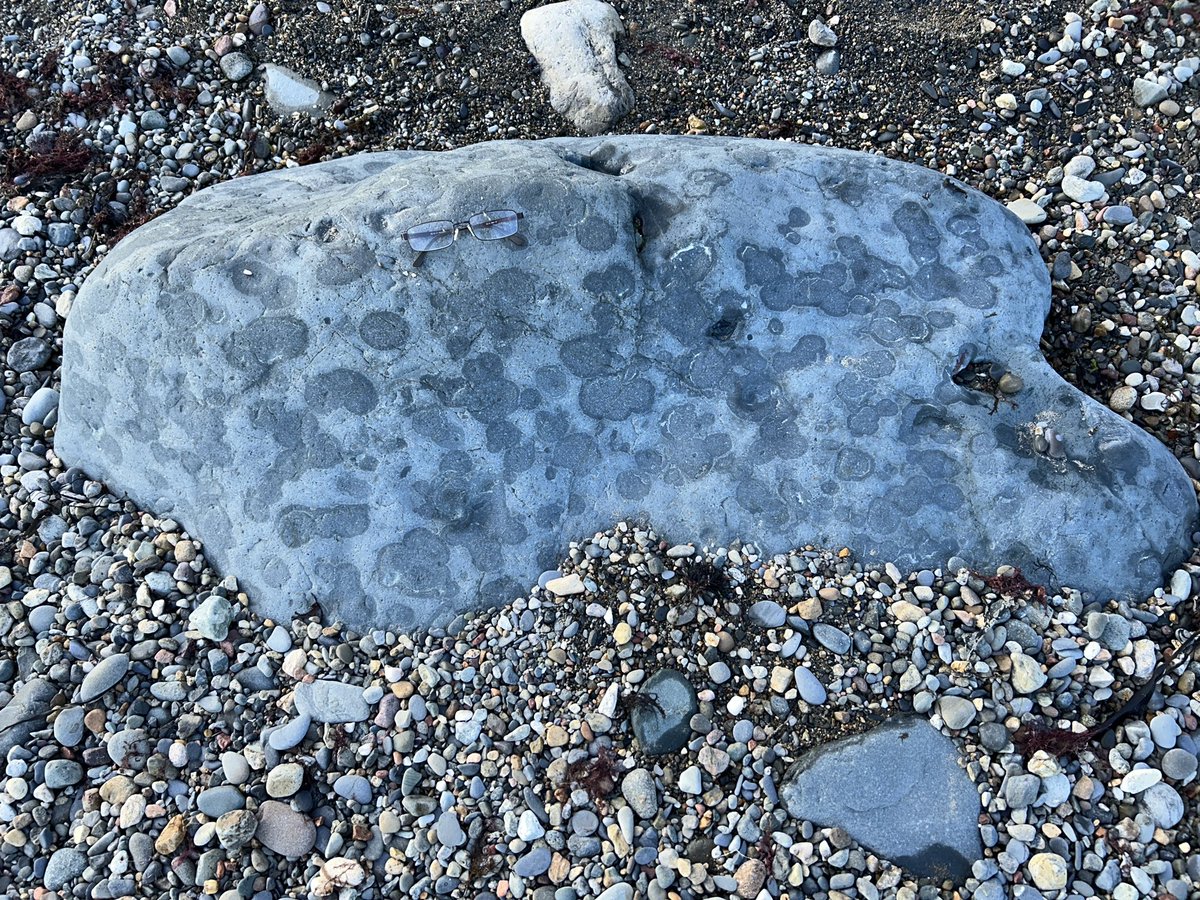 Clive Mitchell tweet media