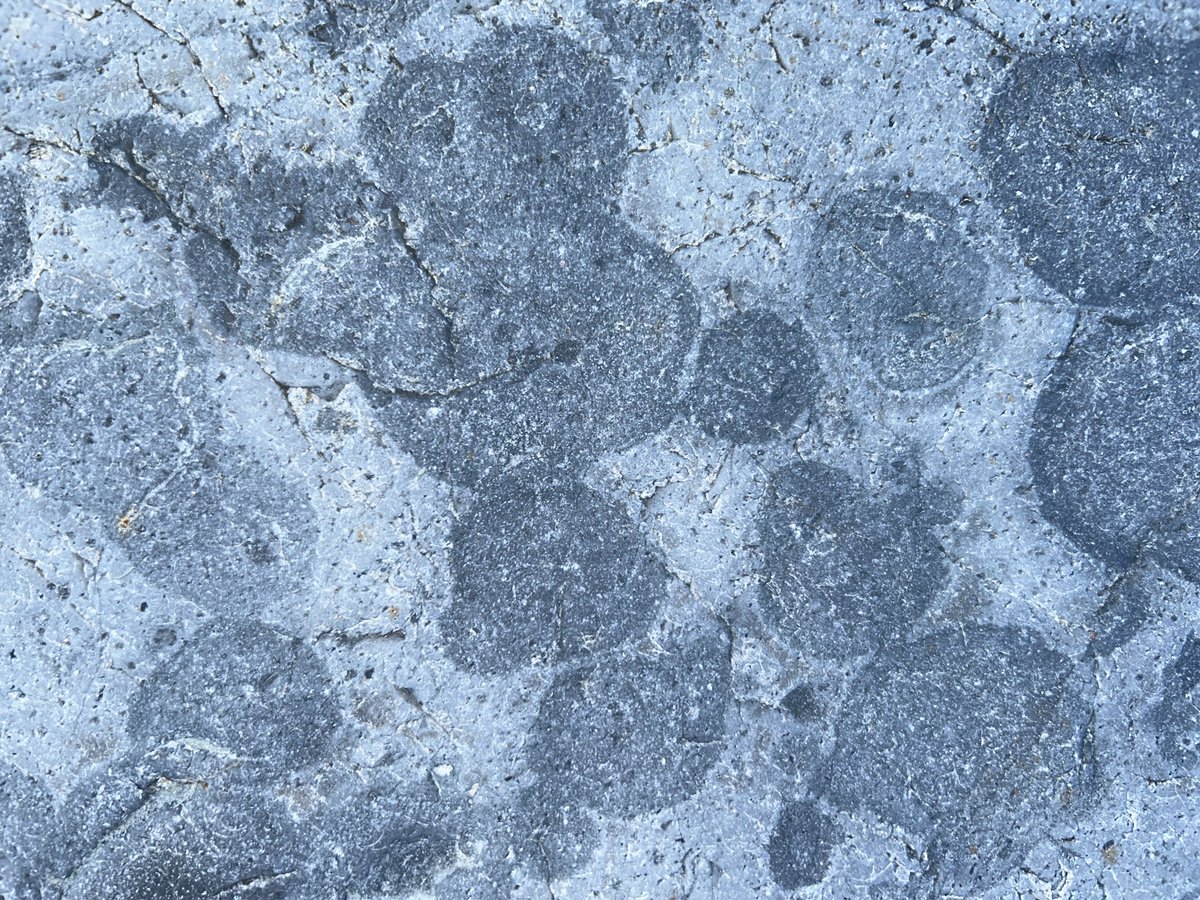 Clive Mitchell tweet media