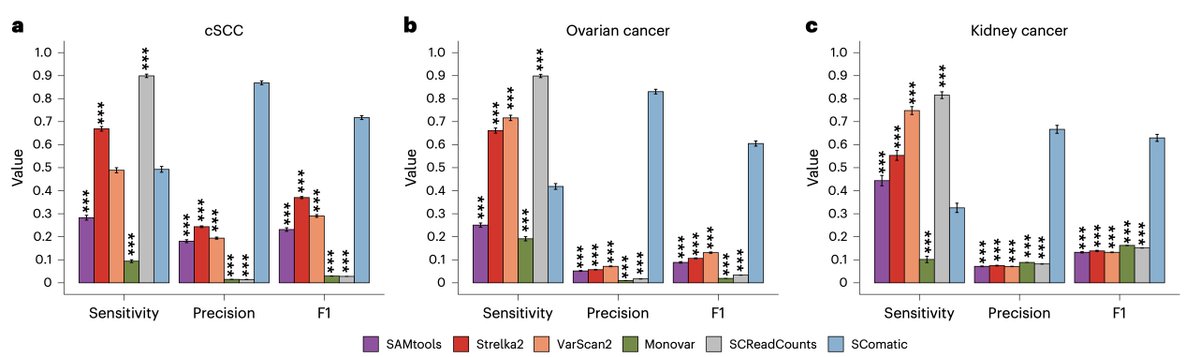 simocristea's tweet photo. 🚨comp bio folks: update your priors & add a new algorithm to your toolbox!

You can now reliably call somatic mutations in scRNAseq/scATACseq data without a refernce, thanks to a new great tool just out.

Why does this matter?
How does it work?
When/where can you use it?
👇

0. For interested non-experts
single cell RNA sequencing data (scRNAseq) is everywhere by now. To understand cancer evolution for example, lots of different tumor types (e.g. pre-malignant/primary/metastasis) and conditions (s.a. pre/mid/post treatment, and others) have been profiled. scRNAseq offers information primarily on the gene expression state of the cell (its transcriptome). In addition to mRNA abundance, scRNAseq also contains the actual sequence of the transcriptome, making it appealing to also identify point mutations (mismatches compared to reference). But technical limitations make this important task quite difficult, and essentially only possible when matched DNA (bulk or single cell) for the sample sample exist.

1. Why is this so relevant?
Inferring point mutations from scRNAseq/scATACseq is appealing from at least 2 main reasons:
- single cell point mutations are extremely relevant for understanding the phylogeny and evolution of both normal tissue (e.g. during development) and cancers
- the inferred point mutations would offer a second mode of omics information in the same single cells for which expression information is also available. This essentially mimics multi-omics single cell data for free 🤯.

2. About the new tool
SComatic computes base counts for every position of the genome across (a priori-identified) cell types from the same individual, using the assumption that somatic mutations are only present in cell types from the same differentiation clade, whereas germline mutations are widespread. More specifically, the tool follows these steps:

2.1. Annotate cell types with e.g. markers (or your favorite method)
2.2. Split alignment (BAM) files into cell-type specific BAMs
2.3. Structure base count information per split cell type-specific BAM into a matrix
2.4. Compute beta-binomial tests for every cell type and position in genome, parameterized using non-cancerous samples
2.5.  Further filter mutations to retain only the somatic ones, using: i) the frequency of the mutation, ii) a panel of normals (PONs), and iii) a-priori information on the bases themselves.

3. Validation and performance
Tested on 10X scRNAseq & matched WES data, the new method shows high concordance between the mutations detected in scRNA-seq by SComatic and WES. Interestingly (and expected), in a sample with high genetic heterogeneity, both WES and scRNAseq alone identify mutations that the other data types doesn't find.

SComatic shows much higher precision & F1 scores than alternative pipelines for calling scRNAseq point mutations. Other methods do have better sensitivity, which is important to note, as different tools might be different for other applications.

Mapping the identified mutations in cancerous samples to mutational signatures highlights cancer-related processes, further increasing the confidence in SComatic's mutation calls.

On hypermutated samples (MMR-deficient tumors), SComatic's mutation calls are more biologically-relevant than those of alternative methods, as assessed by the distribution of the identified mutational signatures.

4. Non-cancerous tissues
SComatic has also been tested on samples with low mutational burden: myeloproliferative neoplasms, as well as normal tissues with high expected genetic heterogeneity (e.g. polyclonal tissues): 78 scRNAseq samples from 6 heart regions across 14 donors. The mutational burdens in cardiomyocytes estimated by SComatic were comparable to those estimated using single cell whole genome sequencing (WGS).

Another interesting application on non-neoplastic tissue used scATACseq data: 500.000 cells from 66 samples from 24 tissues. The distribution of called single cell mutations in scATACseq was quite different from scRNAseq, and most mutations mapped to intergenic (32%), promoter (19%) and intronic regions (18%). Quite interestingly, ductal cells showing the highest mutational rates.

In line with previous reports on mutations in normal tissues, this paper does find mutations in non-neoplastic cell types from both cancer and non-neoplastic samples, but with overall low (<0.2) mutant cell fractions.

This research direction is exciting and very relevant, as it allows diving deeper into the clonal landscape of normal tissues of different cell types, using the wealth of existing scRNAseq/scATACseq data. This has implications for cancer prevention and early detection and management.

5. Cancer heterogeneity
Lastly, SComatic was used to reconstruct the clonal heterogeneity in multi-region scRNAseq data from ovarian cancers (with clones identified using copy number alterations). Clonal assignments based on somatic mutations and somatic copy number data were highly concordant. This is quite impressive, showing that mutual exclusivity and co-occurrence analysis of mutations at the single-cell level is now possible, combined with inferred transcriptomic states in the same single cells.

That's a wrap!

Here is the link to the paper, out in @NatureBiotech:
https://t.co/VkShZfOzMA

And here's the link to the tool
https://t.co/Jq6TmR4115

Congrats & thanks to all the authors led by @isidrolauscher  

👏👏👏