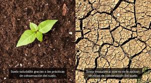 NancySnchezPre3's tweet photo. 7 de julio Día de la conservación de los suelos. Todos podemos contribuir !!
#Taguasco
#SanctiSpíritus
#Cuba https://t.co/3LXy6lflvW