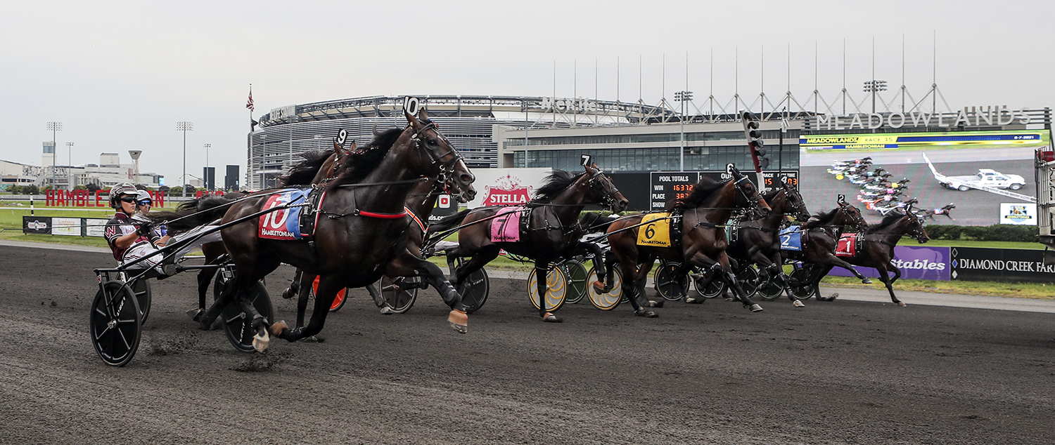 DRF Harness on Twitter "Today's Track of the Day is THE MEADOWLANDS